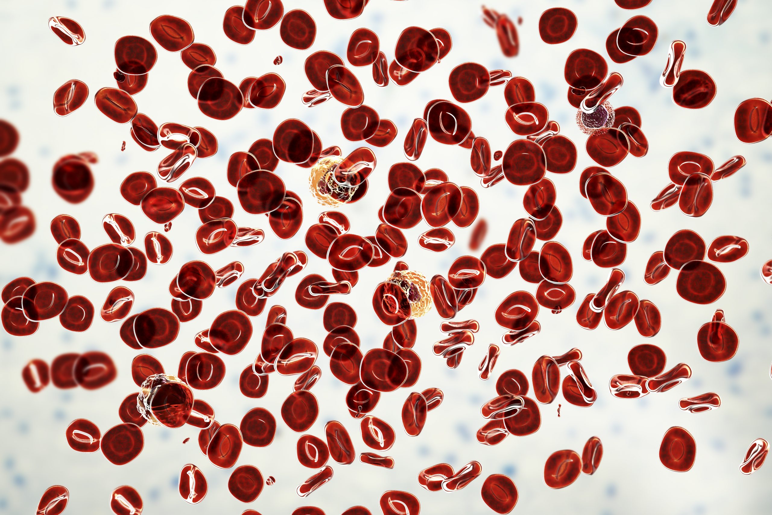 Polycythemia or Too Many Red Blood Cells