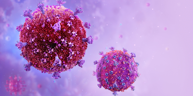 HIV-1 Infection Cured in Older Patient After Reduced-Intensity HSCT for AML