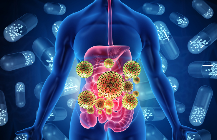 Overview Of The Gut Microbiome And Its Role In GVHD | Cancer Nursing Today