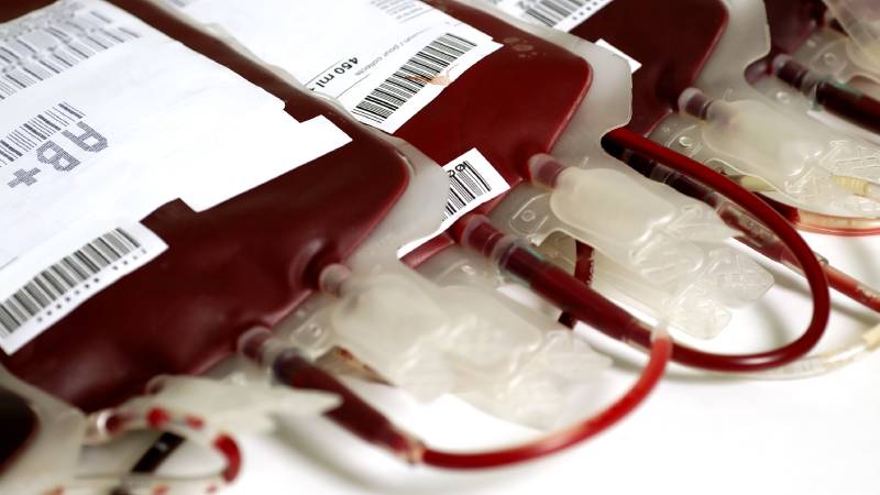 Transfusion Independence Associated With Survival in Phase III Trials of Momelotinib