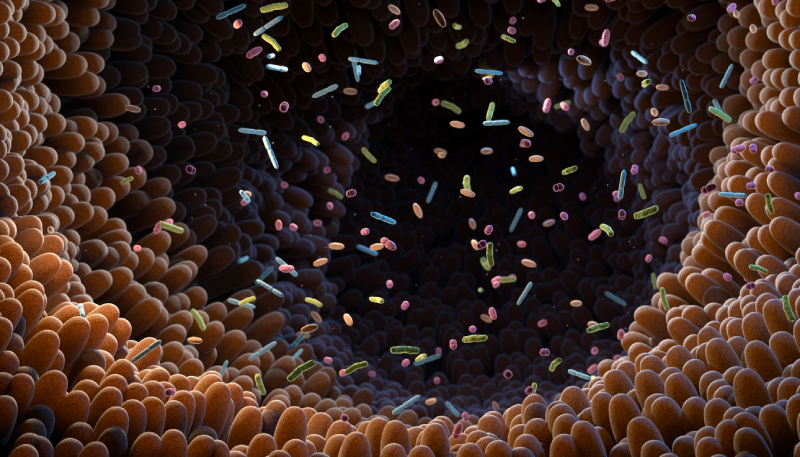 Can Microbiome Metabolite Profiles Predict GVHD Outcomes After Allogeneic HSCT?