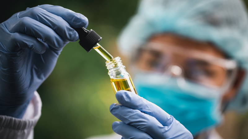 Status of CBD Research for the Prevention and Management of GVHD