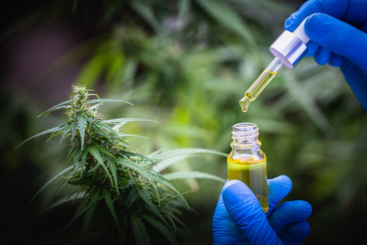 Study Links Frequent Cannabis Use to Lower Cancer Screening Rates