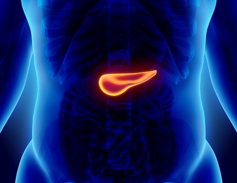 Is There a Relationship Between Gut Microbiota and Pancreatic Cancer?