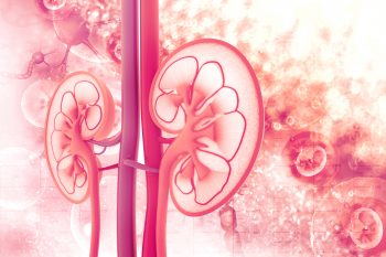 Urinary Copper Excretion in Kidney Transplant Recipients