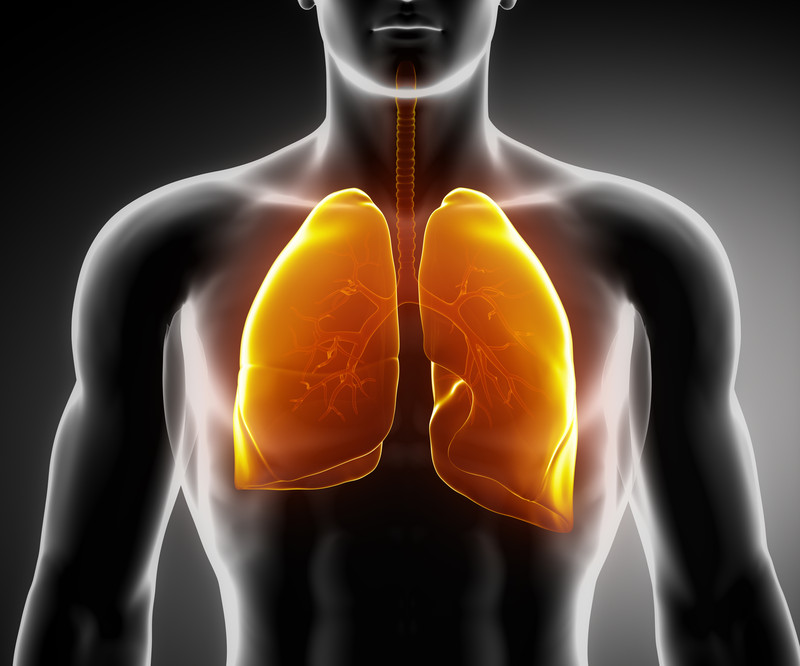 Postoperative Radiotherapy Reduces Survival in Resected Non-Small Cell Lung Cancer