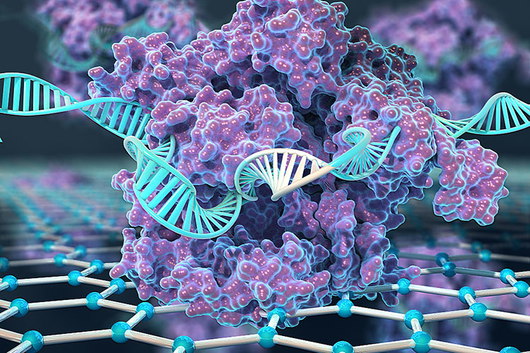 Genetic Study Uncovers Potential Therapy-Actionable Transcription Factors in MDS