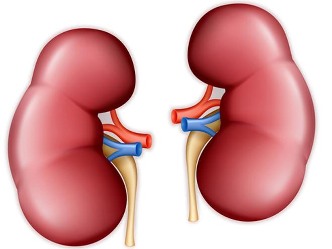 Hyperkalemia in Patients With Chronic Kidney Disease