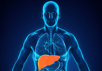 Midodrine Use in Patients Undergoing Simultaneous Liver-Kidney Transplantation