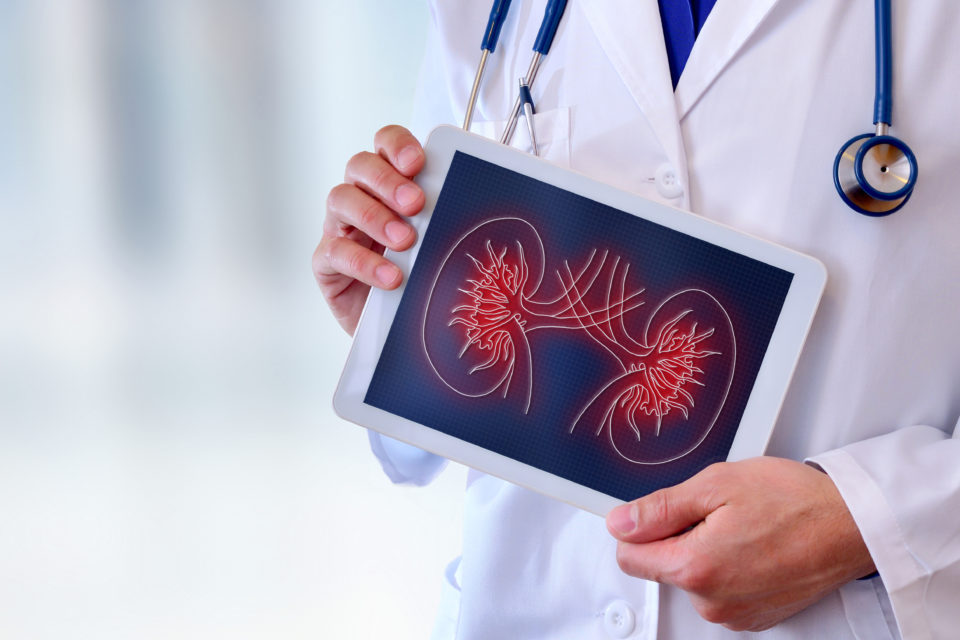 Canagliflozin Beneficial for Type 2 Diabetes Patients with Chronic Kidney Disease