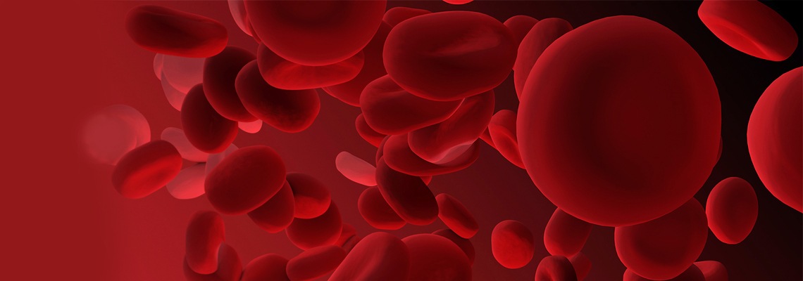 Understanding Hematology and Blood Disease Symptoms