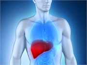 Terlipressin to Treat Patients With Hepatorenal Syndrome Type 1