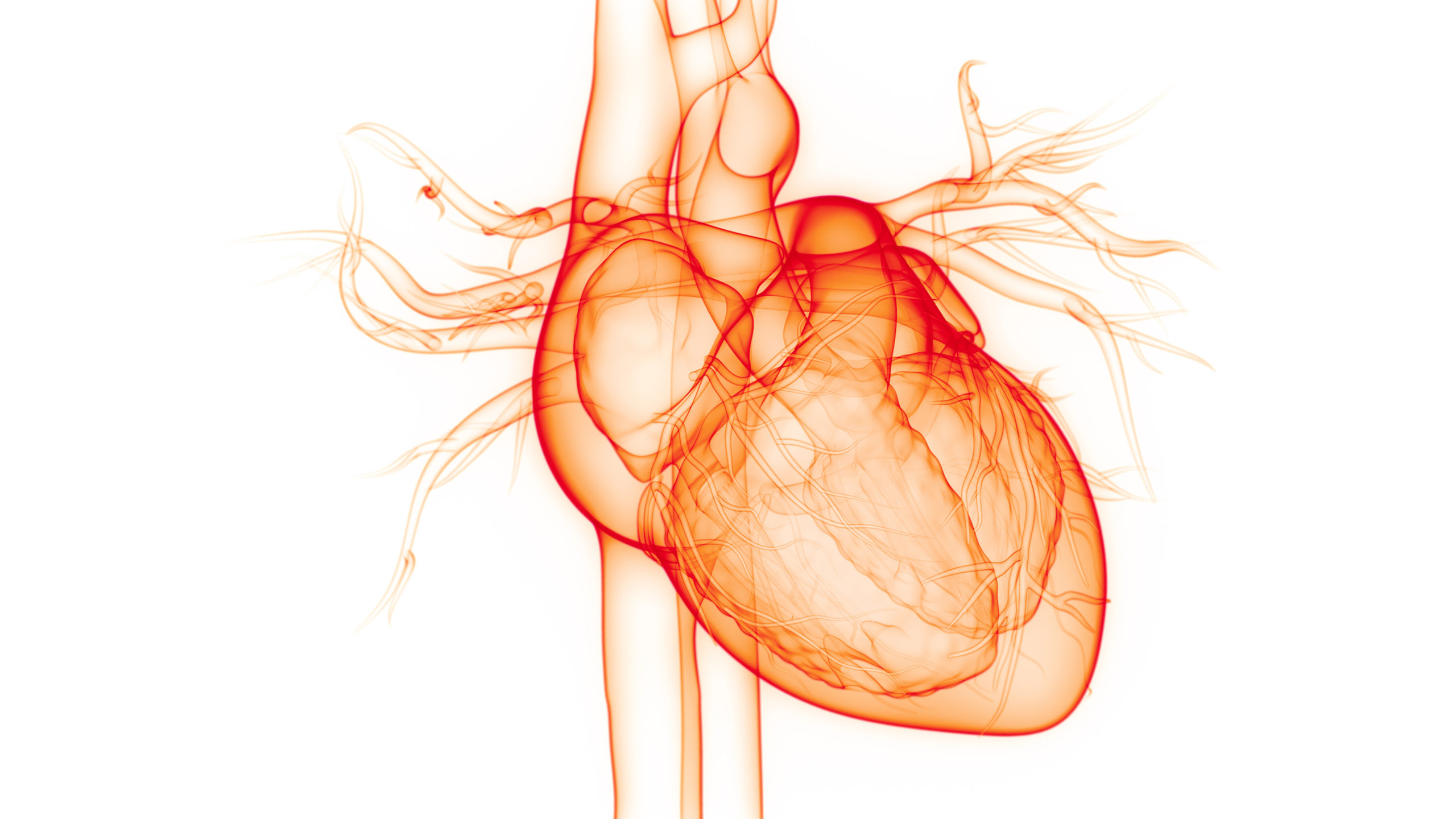 Cardiac, Tissue Iron Differences Detected Between Thalassemia Intermedia, Major