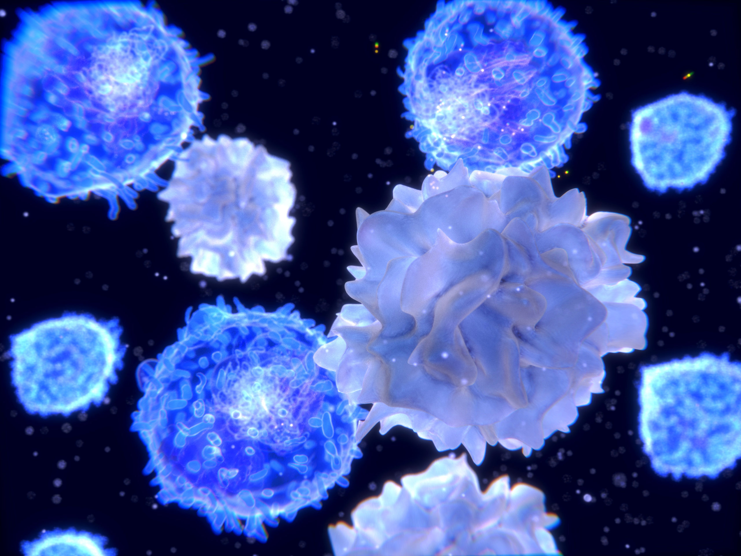 Evaluating T-Cell Large Granular Lymphocytes in ITP Population