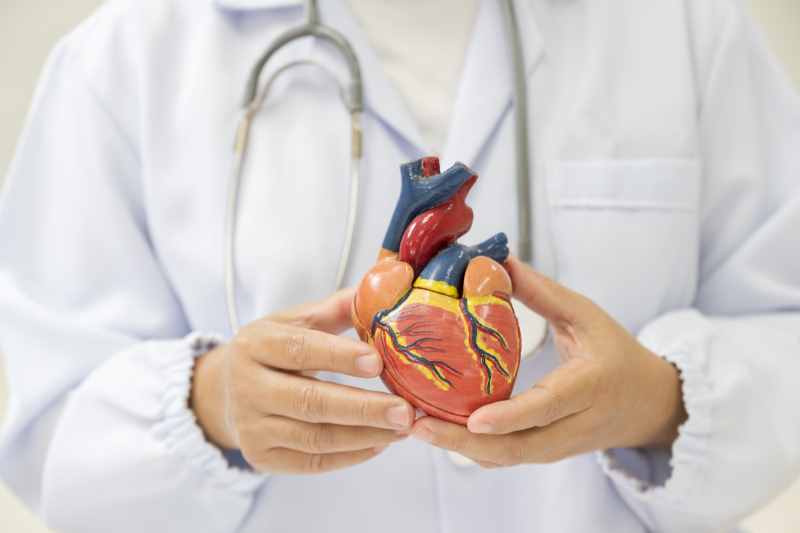 Study Investigates Recurrent Cardiac Events, Outcomes After Ibrutinib Dose Reduction