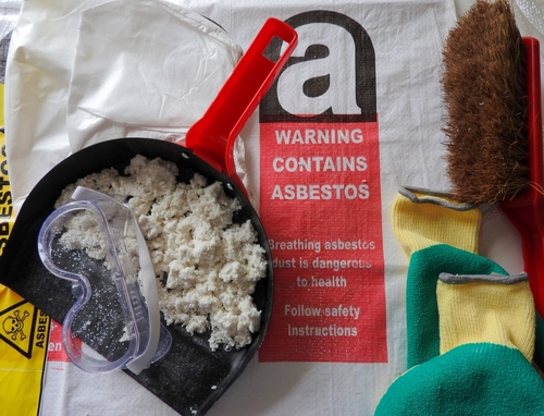 Occupational Versus Environmental Asbestos Exposure and Cancer Survival