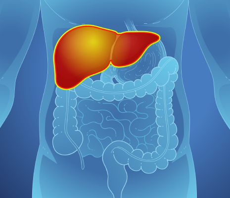 HIMALAYA: 5-Year OS Update of Tremelimumab Plus Durvalumab for Unresectable HCC