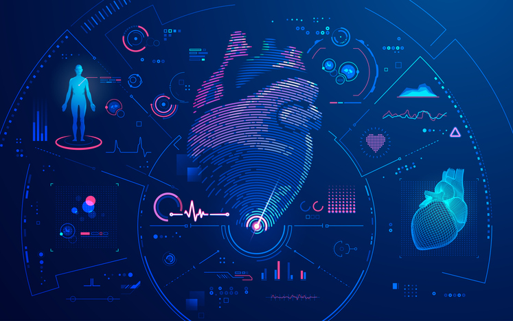 Genomic Architecture of Varying Phenotypic Heart Shapes and Association With Cardiovascular Disease Risk