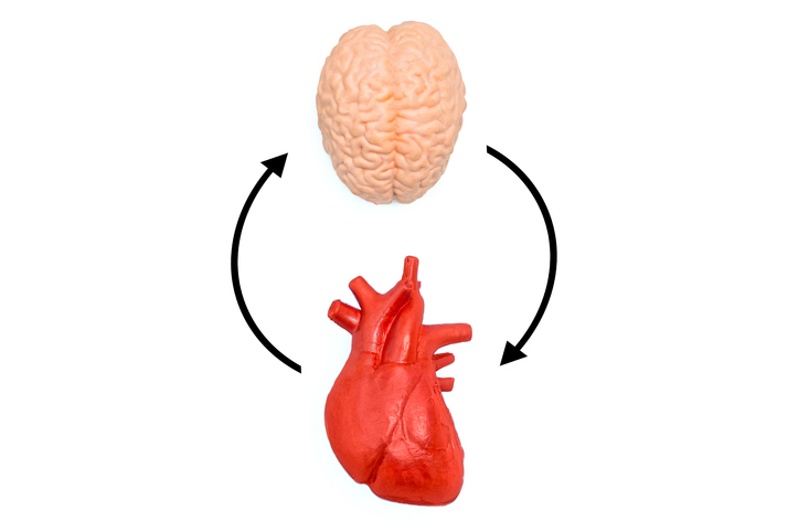 Examining the Gut-Brain Axis, Neurotrophic Dysfunction Association With Crohn Disease