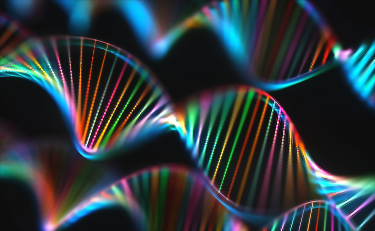 Gene Model Predicts Risk in Head and Neck Cancer