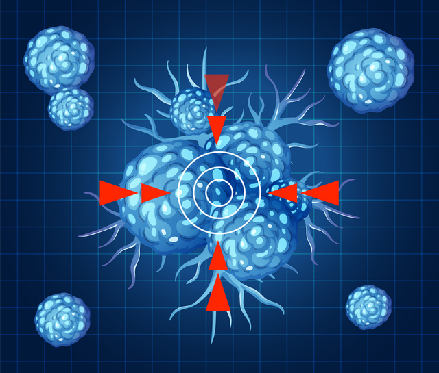 HER2+ Breast Cancer Treatment: Sequencing ADCs & New First-Line Options - News Directory 3