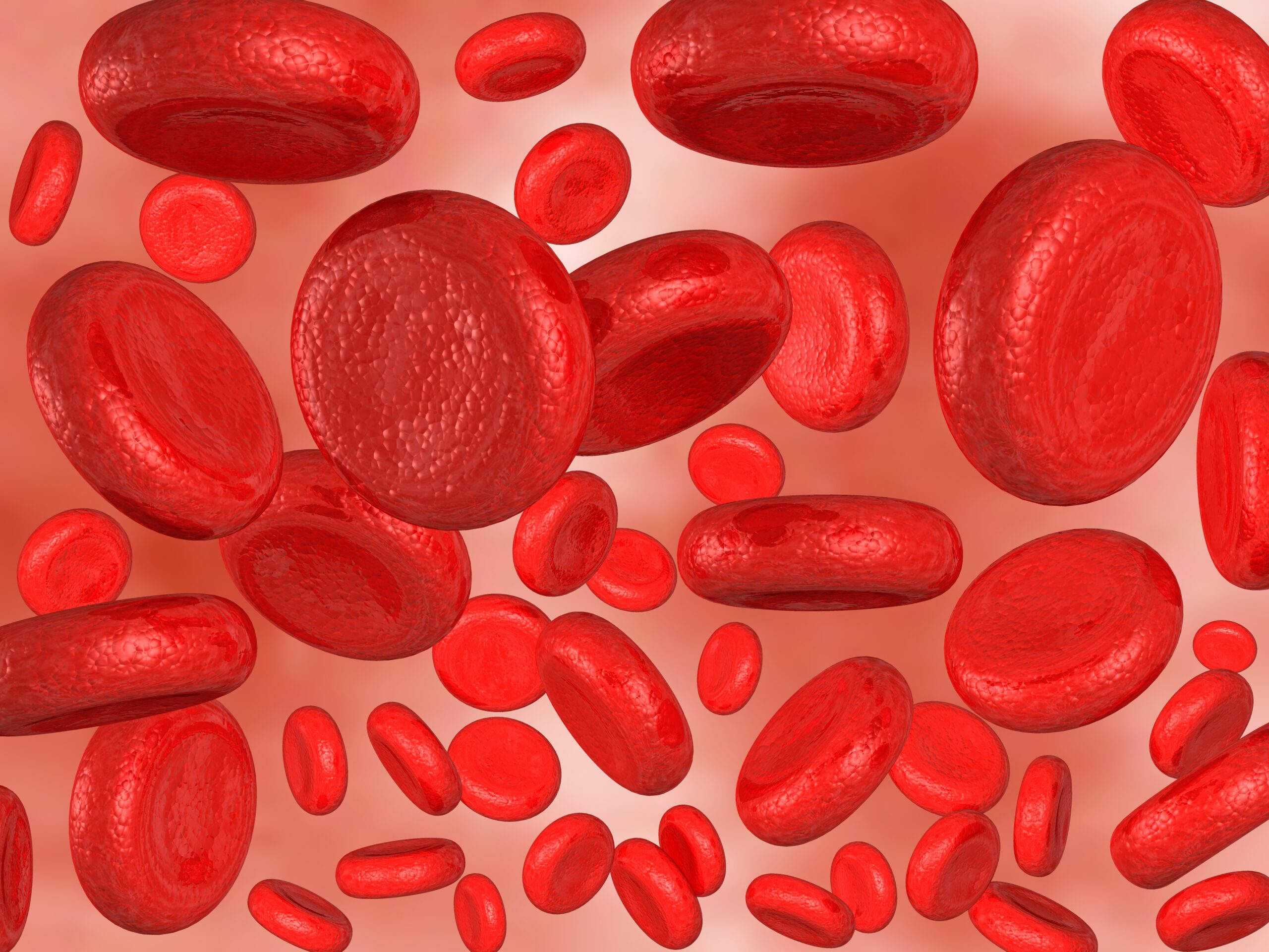 Could Efgartigimod Expand Treatment Possibilities for Patients With Refractory ITP?