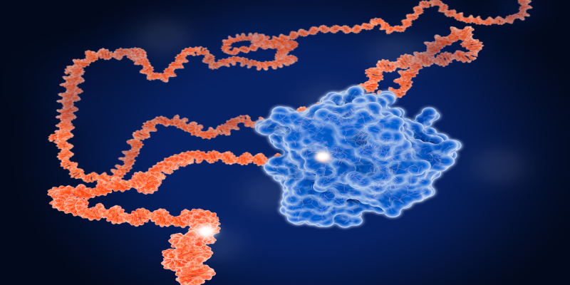 Targeting KRAS: An Expanding Goal of GI Cancer Research