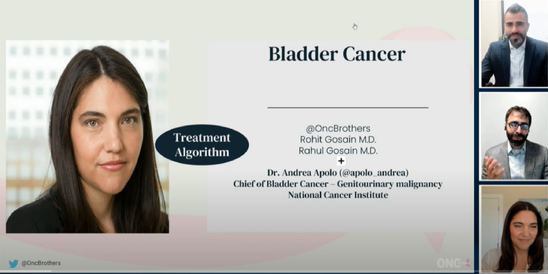 Bladder Cancer Treatment Algorithm, According to Dr. Andrea Apolo