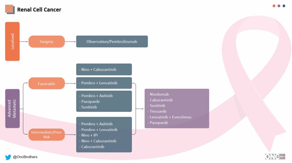 Renal cell carcinoma treatment algorithm
