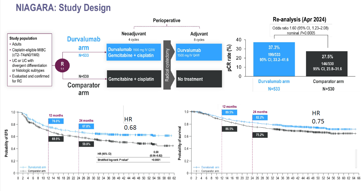 Part 1: NIAGARA Trial for MIBC: Strengths and Weaknesses