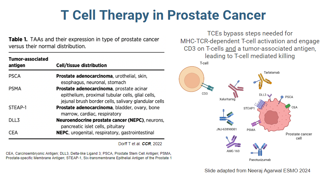 T Cell Directed Therapy in Prostate Cancer: Live Session From The Uromigos Live & Unplugged 2024