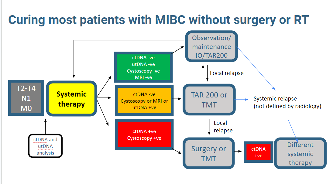 Part 4: Predicting the Future of Muscle Invasive Bladder Cancer After NIAGARA