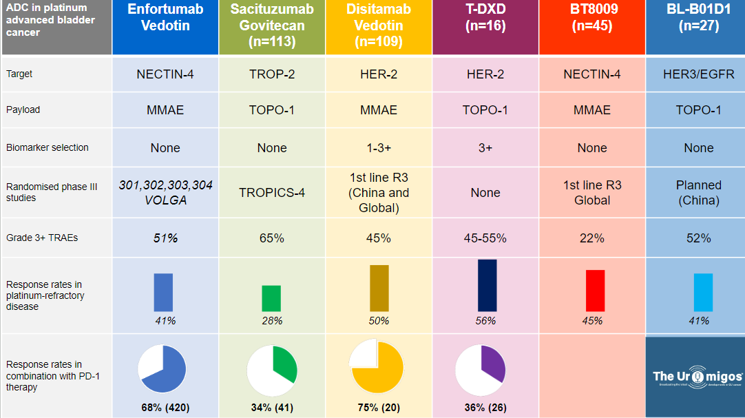 Uromigos Live 2024 ADCs in UC Panel Part 1: The Impact of First-Line Enfortumab Vedotin on the Bladder Cancer Landscape