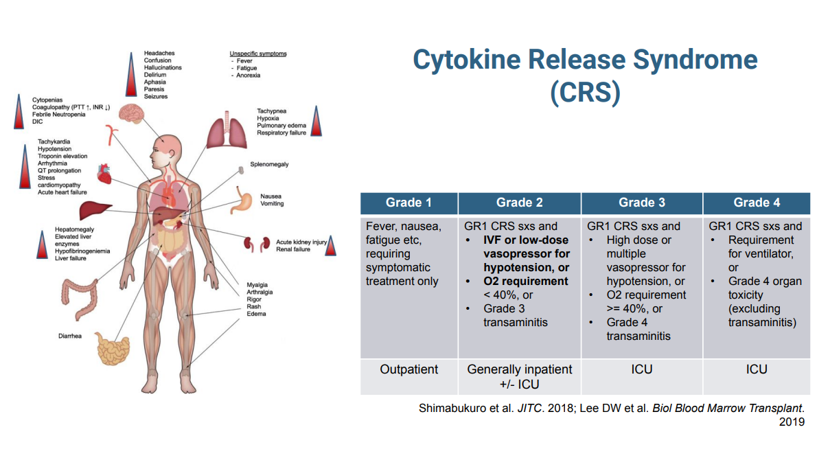 Uromigos Live 2024 T Cell Directed Therapy Part 1: T Cell Engagers and Cytokine Release Syndrome