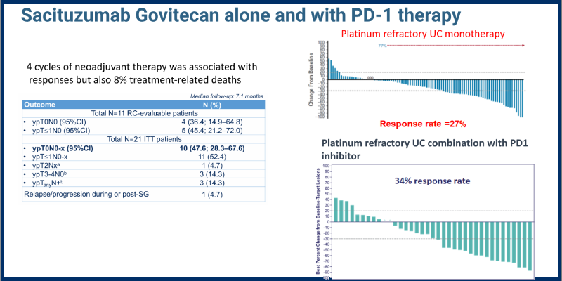 Uromigos Live 2024 ADCs in UC Panel Part 2: Sacituzumab Govitecan and Other TROP-2 ADCs in Bladder Cancer