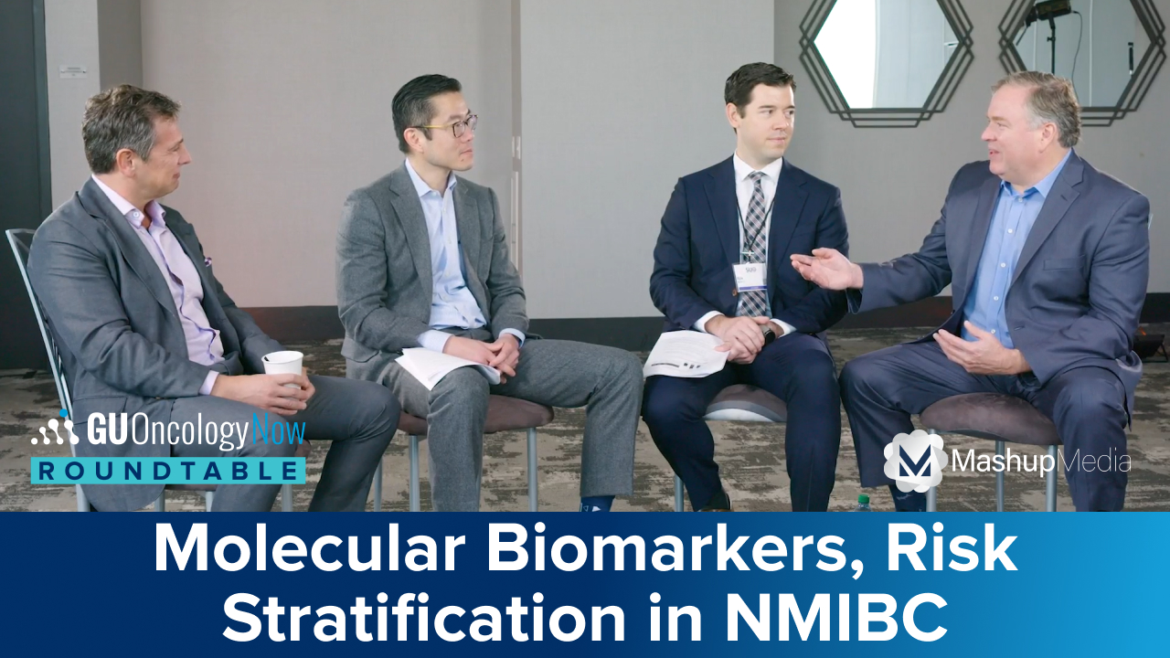 Molecular Biomarkers and Risk Stratification in High-Risk Non-Muscle Invasive Bladder Cancer