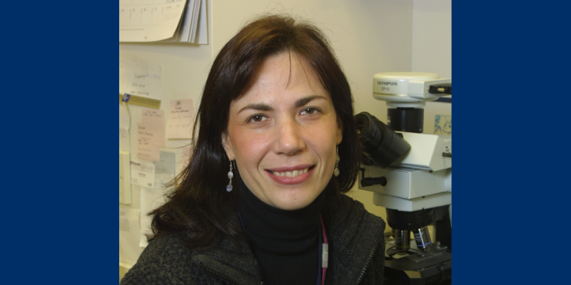 Decoding the RCC Tumor Microenvironment: Biomarkers of Response and ...
