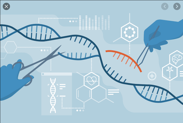 CRISPR Gene-Editing Patients Treated for Sickle Cell Disease Still Going Strong A Year Later